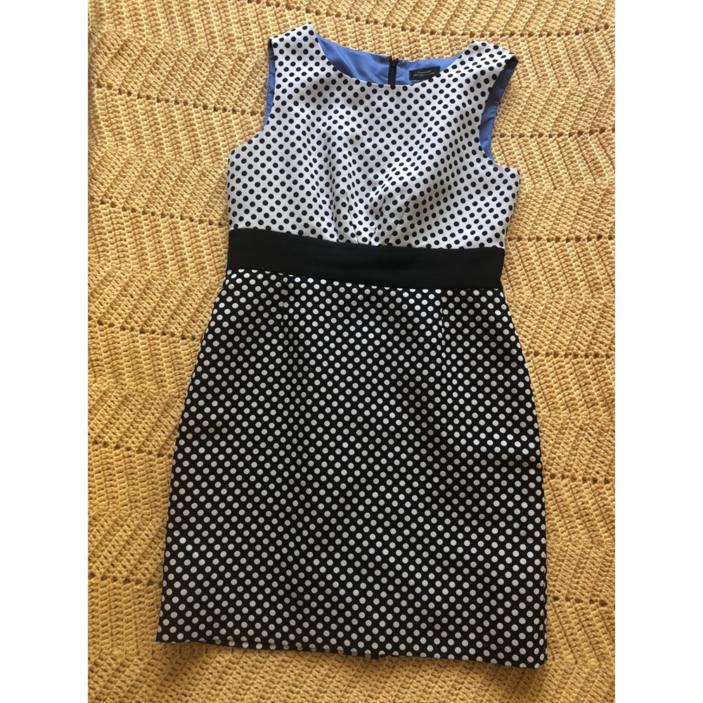 Tahari Polka Dot Dress